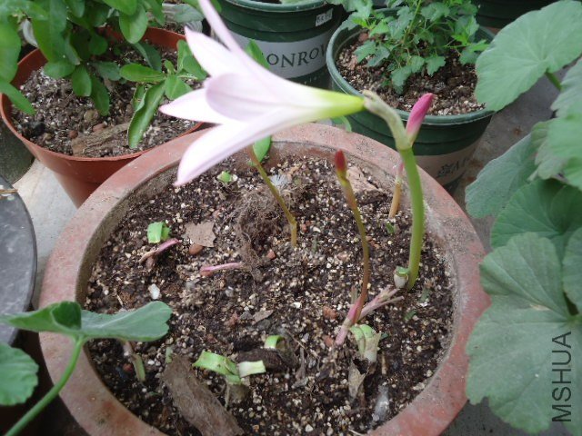 DSC00847.JPG