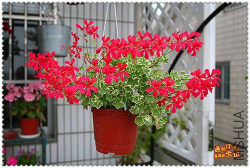 ��Ƭ 084_����.jpg