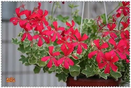 ��Ƭ 088_����.jpg