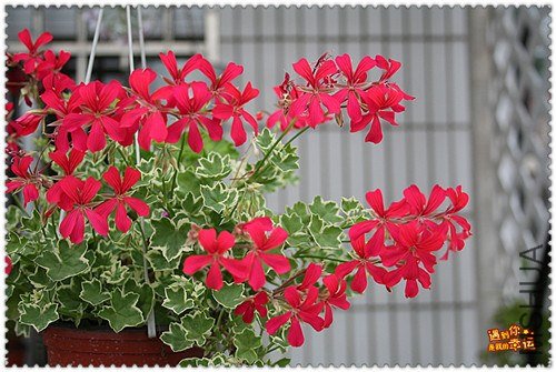 ��Ƭ 091_����.jpg