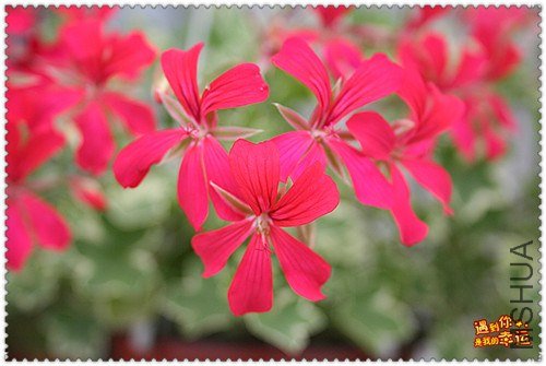 ��Ƭ 092_����.jpg