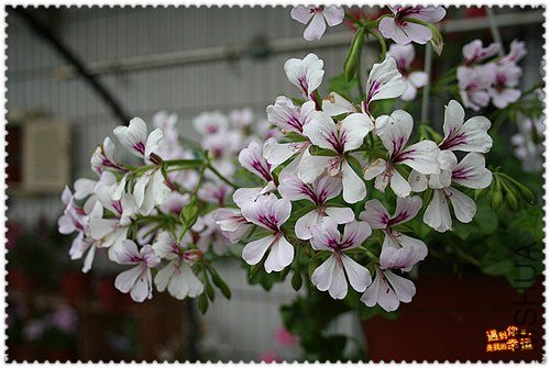 ��Ƭ 108_����.jpg