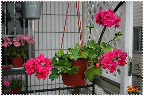 ��Ƭ 094_����.jpg