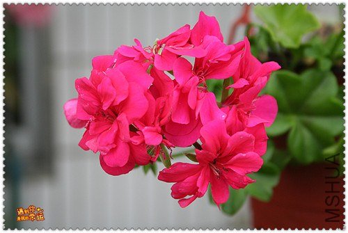 ��Ƭ 097_����.jpg