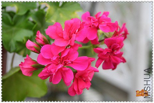 ��Ƭ 098_����.jpg