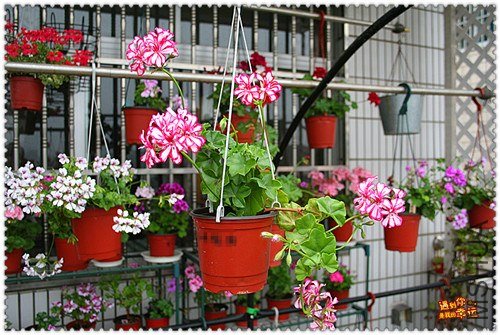 ��Ƭ 132_����.jpg