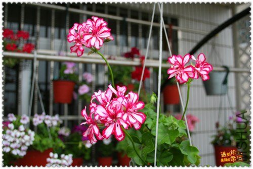 ��Ƭ 134_����.jpg