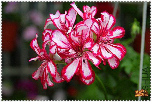 ��Ƭ 136_����.jpg