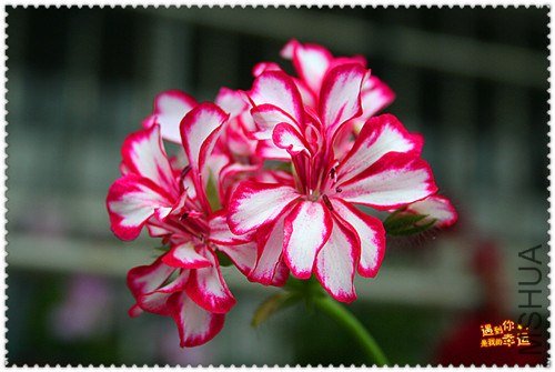 ��Ƭ 137_����.jpg