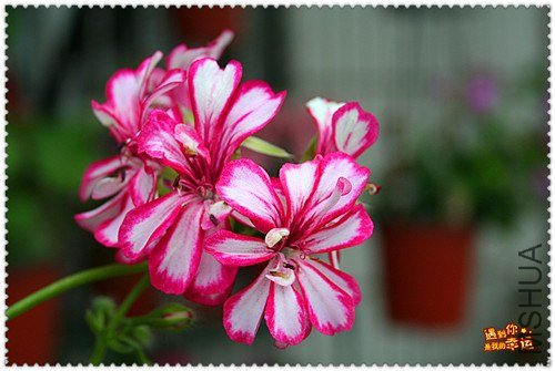 ��Ƭ 138_����.jpg