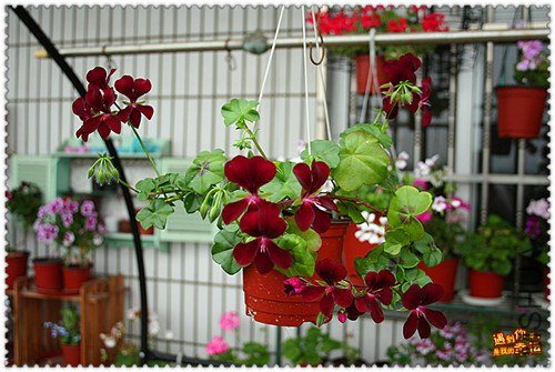 ��Ƭ 118_����.jpg