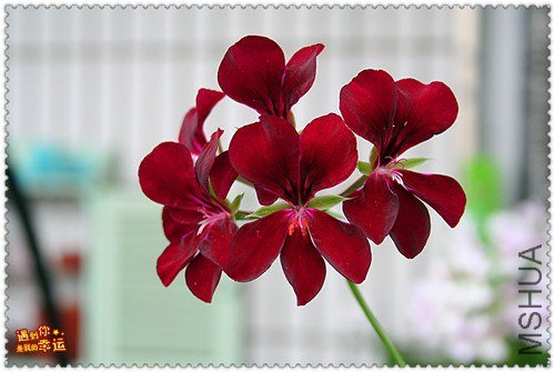 ��Ƭ 119_����.jpg