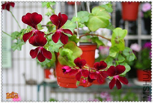 ��Ƭ 122_����.jpg