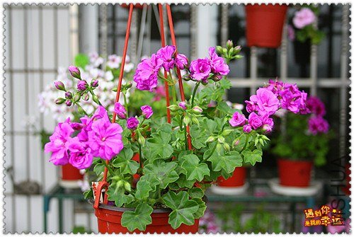 ��Ƭ 110_����.jpg