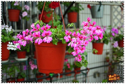 ��Ƭ 125_����.jpg