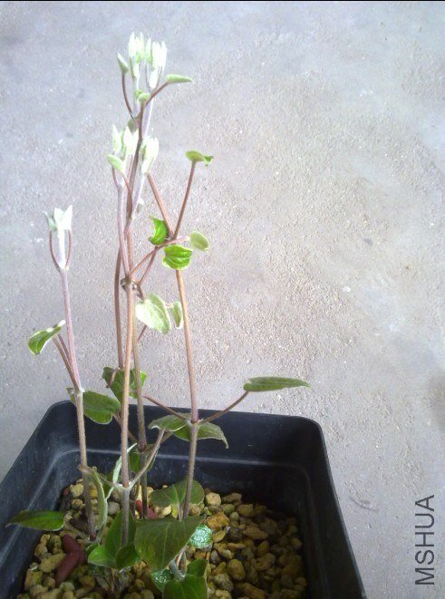2013.3.1.jpg