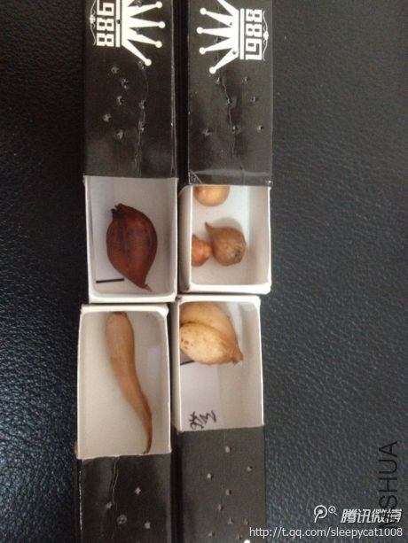 צ�ӳ��˹������