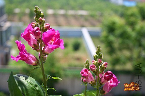 ��Ƭ 140_����.jpg