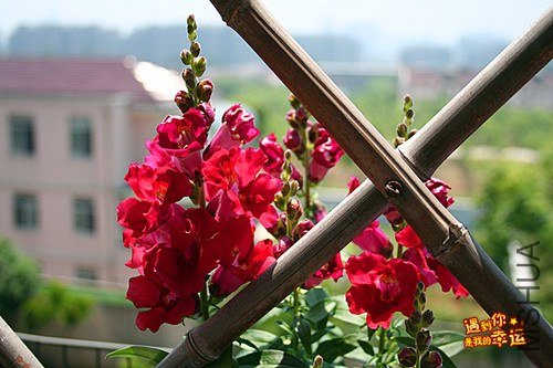 ��Ƭ 146_����.jpg