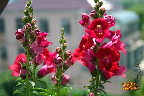 ��Ƭ 147_����.jpg