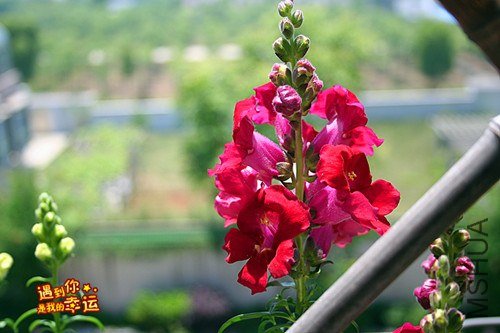 ��Ƭ 151_����.jpg