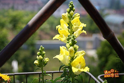 ��Ƭ 152_����.jpg