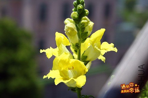 ��Ƭ 154_����.jpg