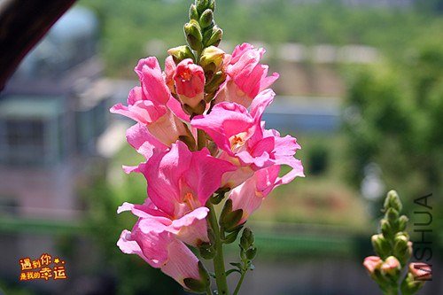 ��Ƭ 155_����.jpg