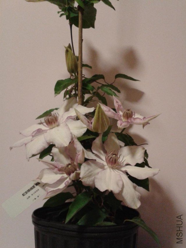 2013-04-22 23.43.25.jpg