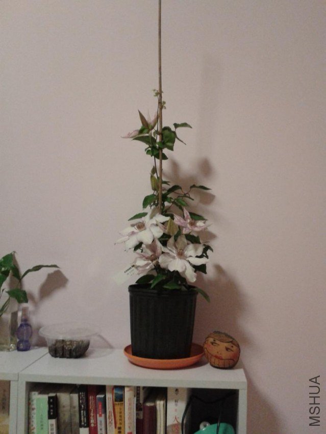 2013-04-22 23.50.26.jpg
