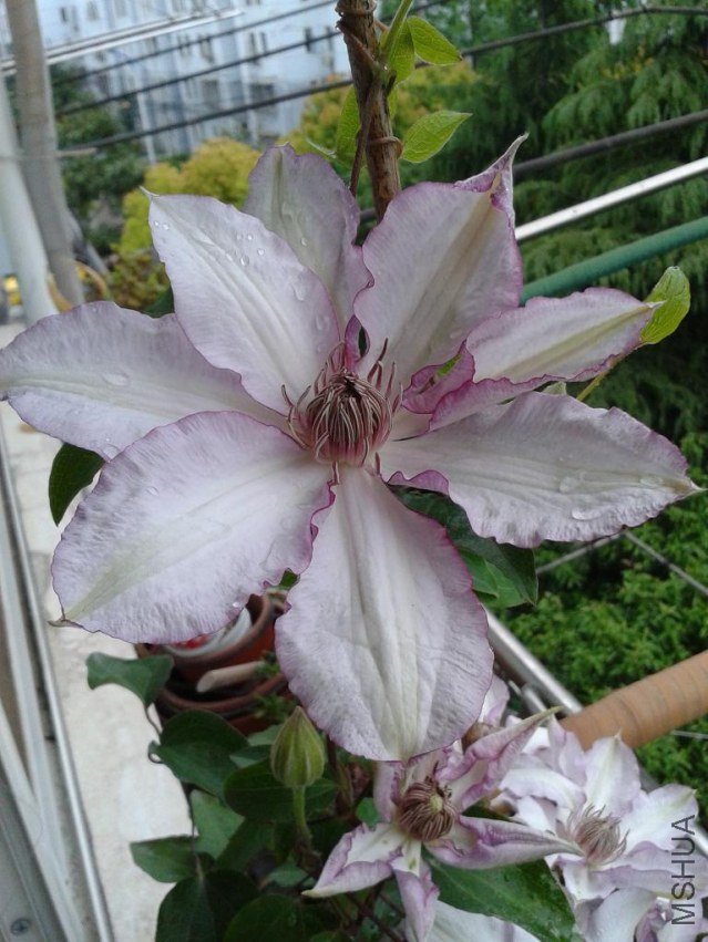2013-04-24 17.59.15.jpg