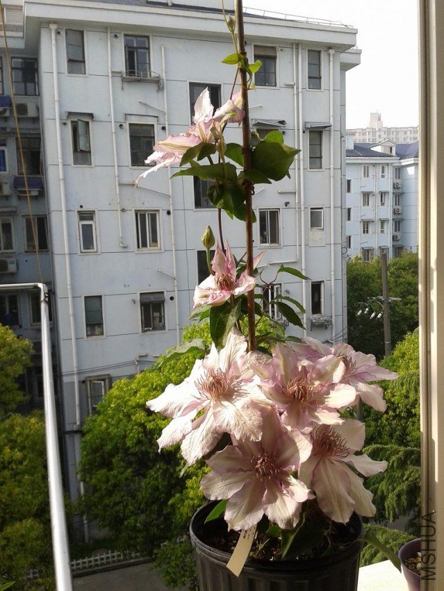 2013-04-25 08.08.28.jpg