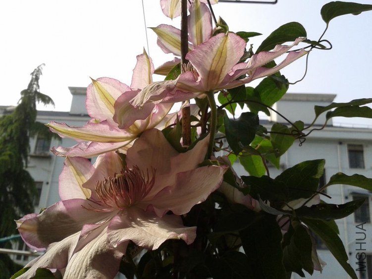 2013-04-25 08.09.36.jpg