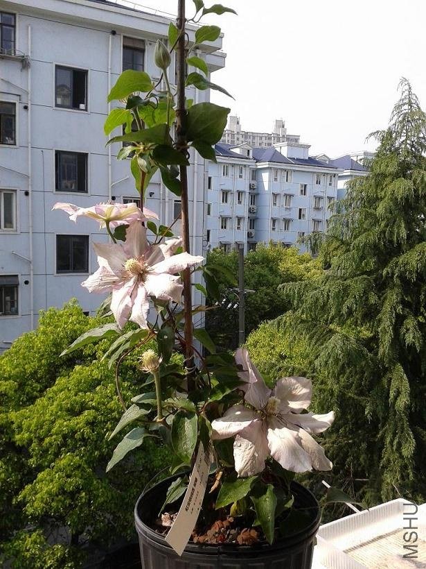 2013-05-05 09.16.16.jpg