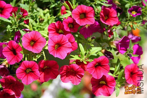 ��Ƭ 205_����.jpg