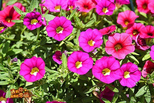 ��Ƭ 207_����.jpg