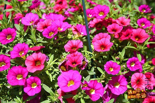 ��Ƭ 211_����.jpg