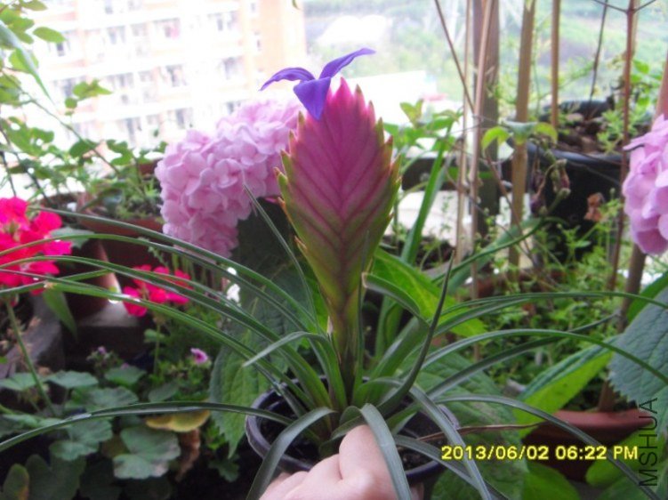 QQ��ͼ20130604161956.jpg
