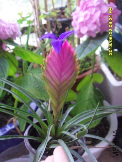 QQ��ͼ20130604161943.jpg