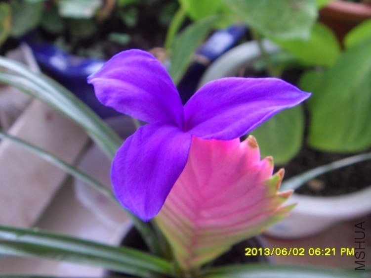 QQ��ͼ20130604161920.jpg