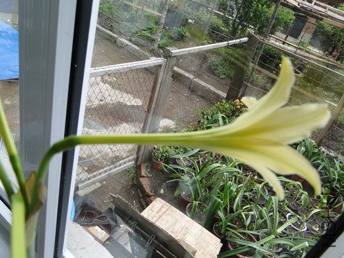 DSC04152_����.jpg