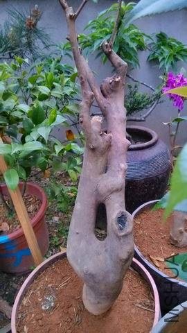 ������С IMG_20130419_174542_HDR.jpg