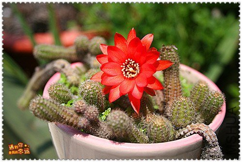 ��Ƭ 064_����.jpg