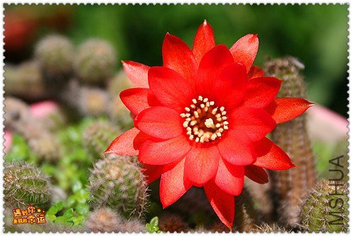 ��Ƭ 066_����.jpg