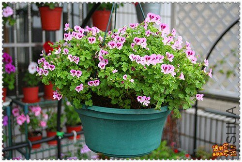 ��Ƭ 040_����.jpg