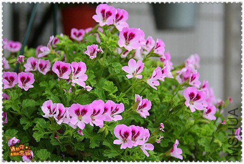 ��Ƭ 043_����.jpg