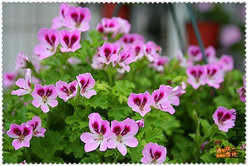 ��Ƭ 044_����.jpg