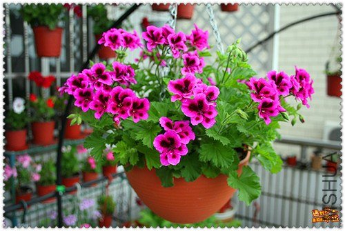 ��Ƭ 049_����.jpg