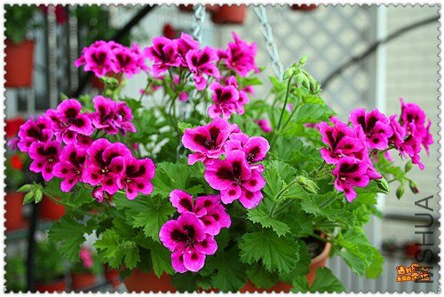 ��Ƭ 051_����.jpg