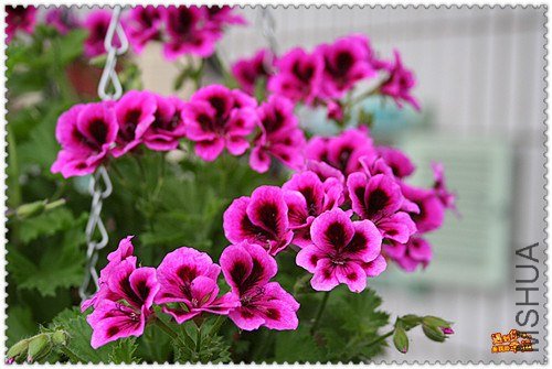 ��Ƭ 053_����.jpg